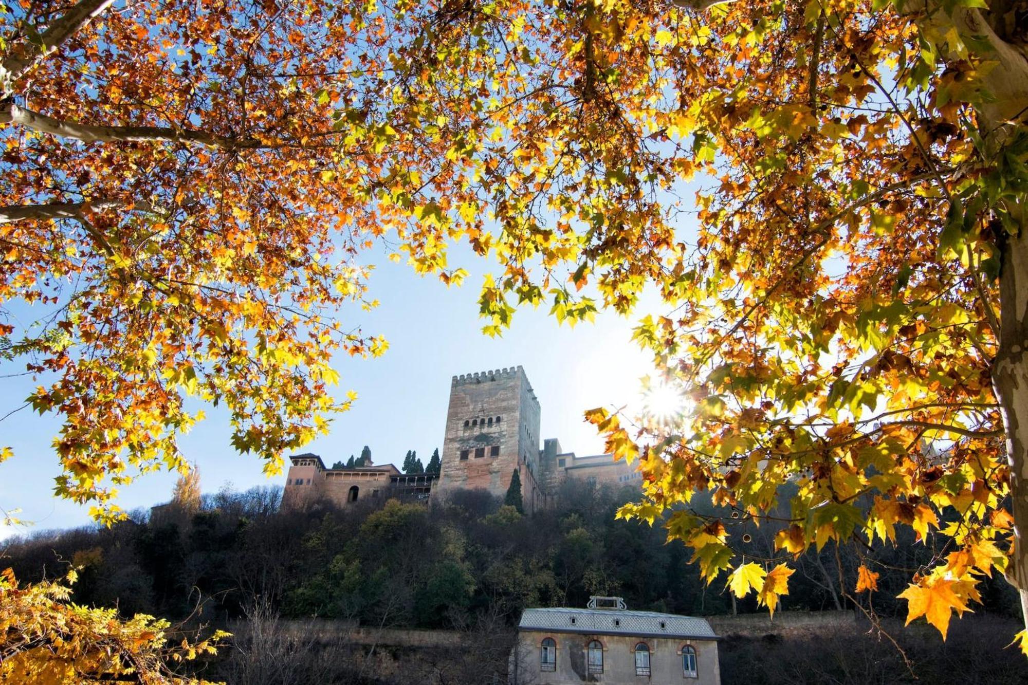 Luxury Alhambra Hideaway Lägenhet Granada Exteriör bild